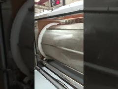 軟凝膠カプセルのための1層のインテリジェントタンブラードライヤー