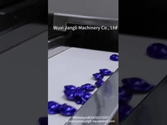 ソフトゲルカプセル化機